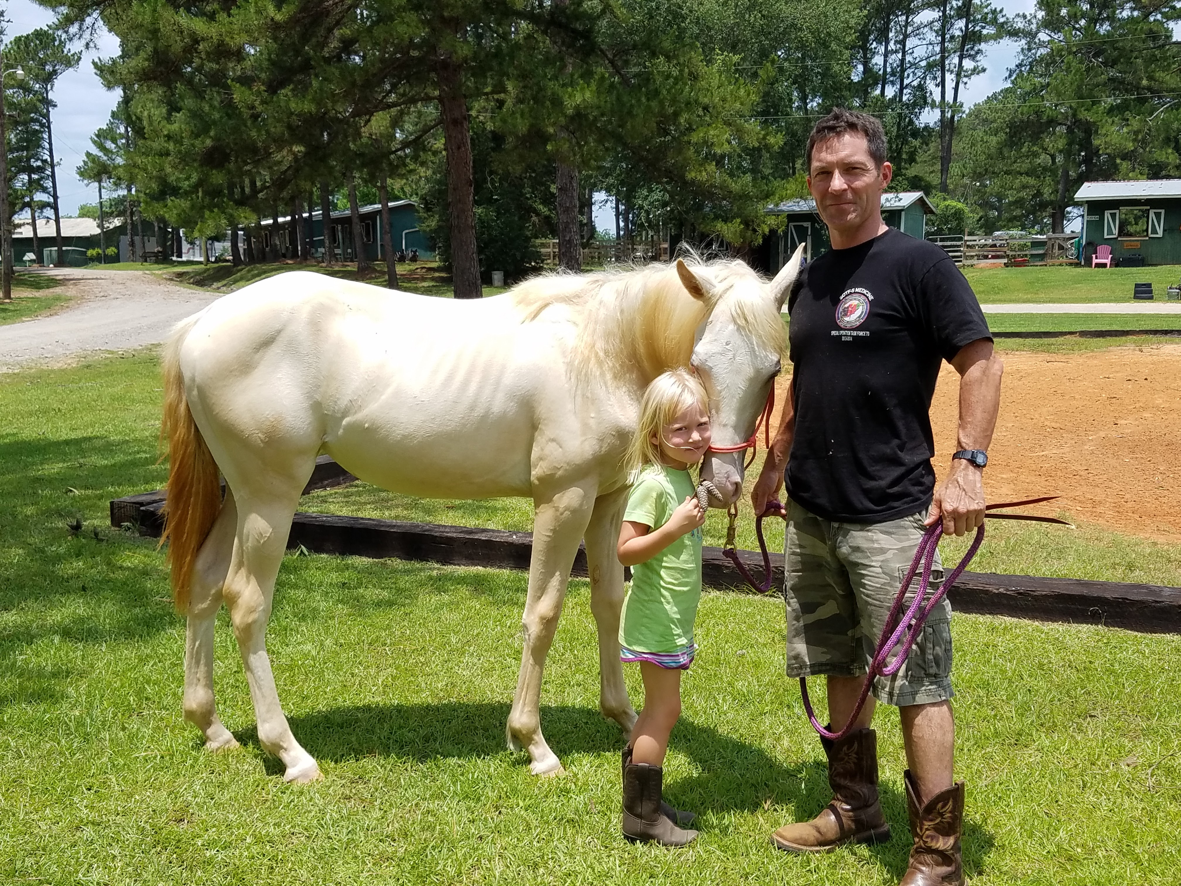 Equine therapy